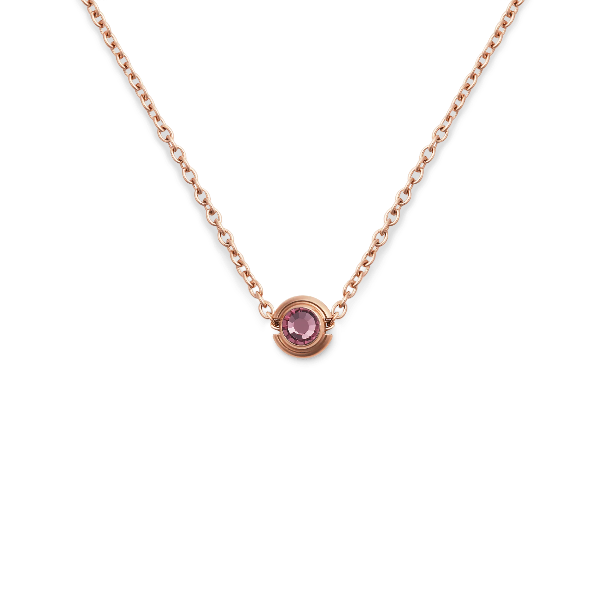January Charm S925 Sterling Silver - Image 3