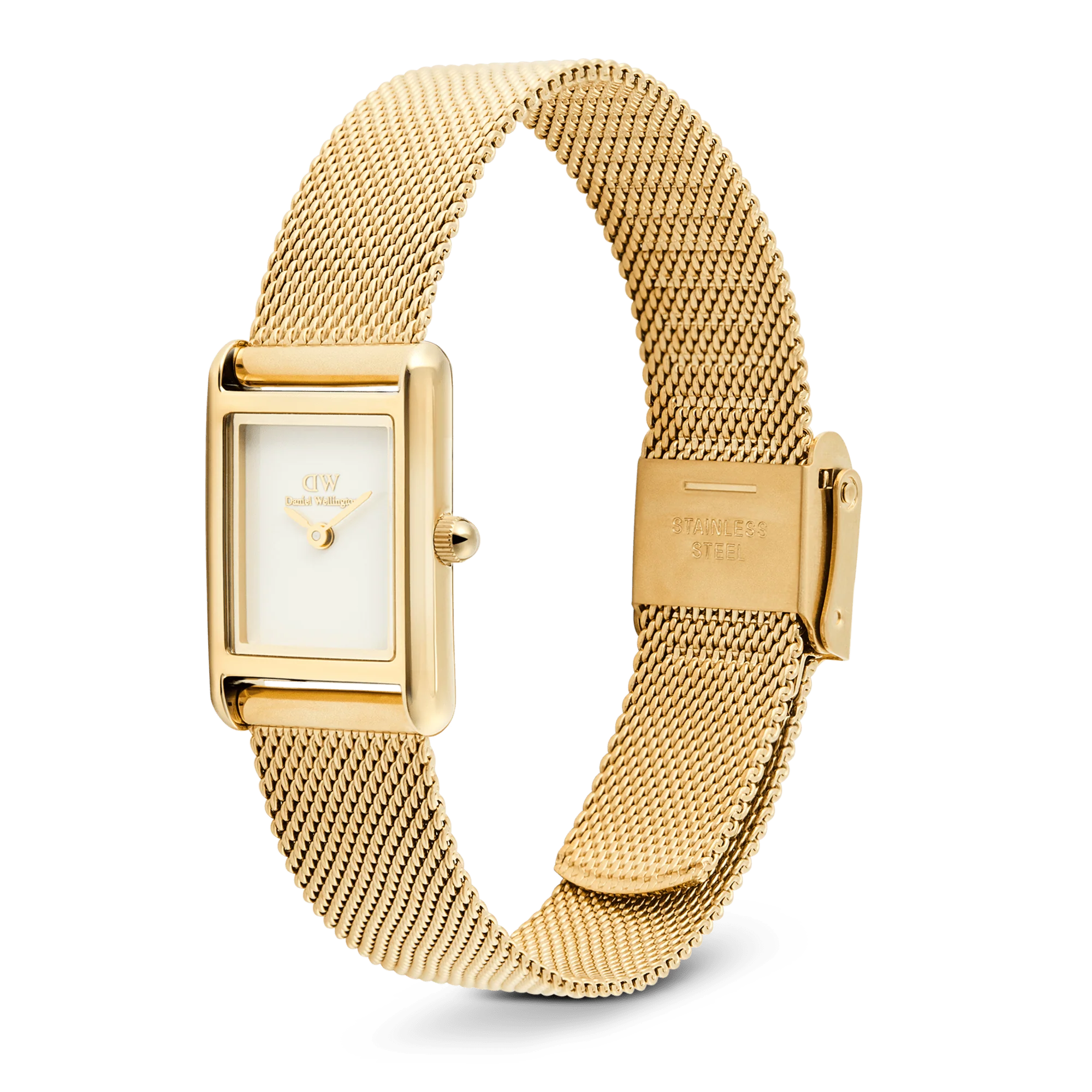 Bound Mini Evergold - Image 4