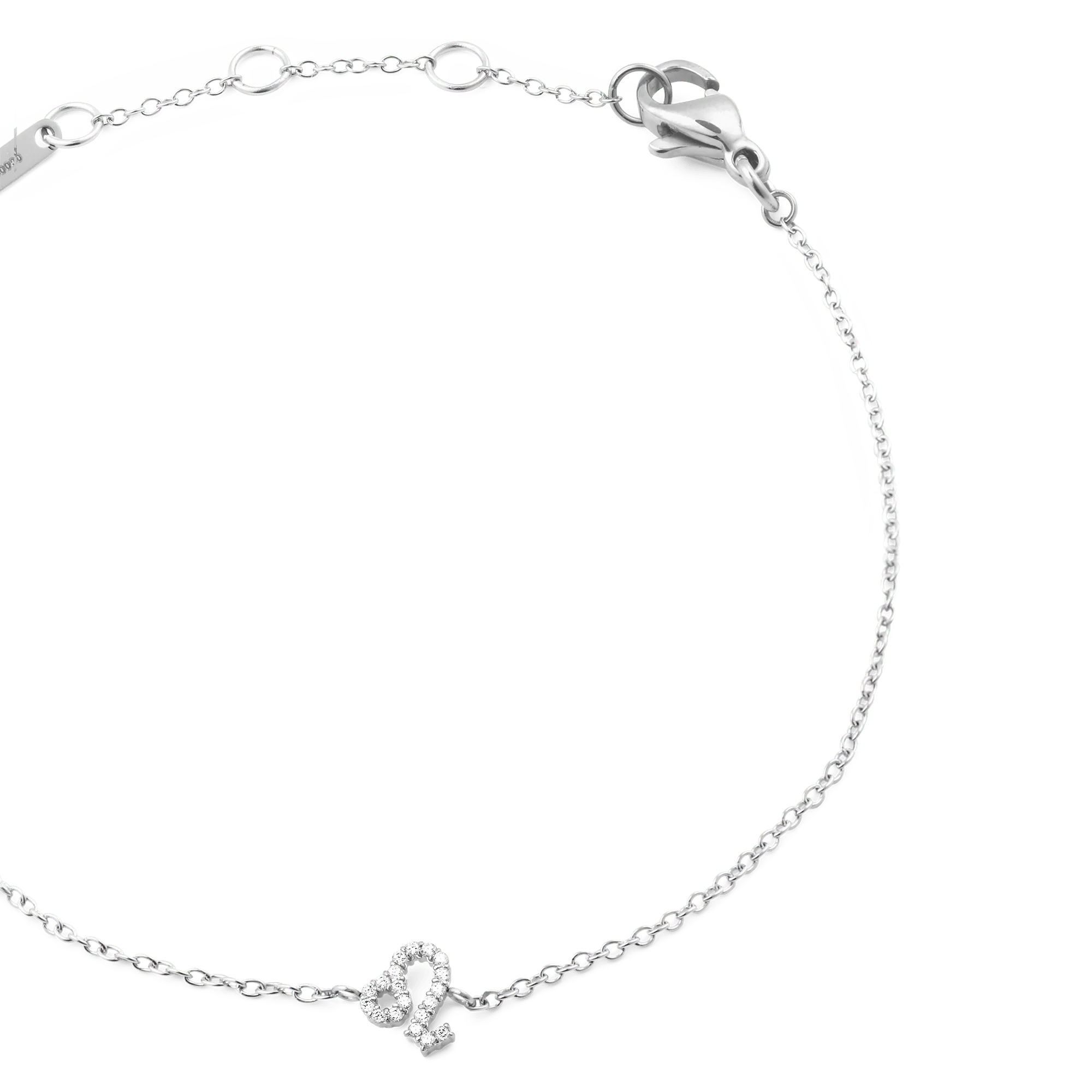Crystal Zodiac Chain Bracelet Silver - Image 31