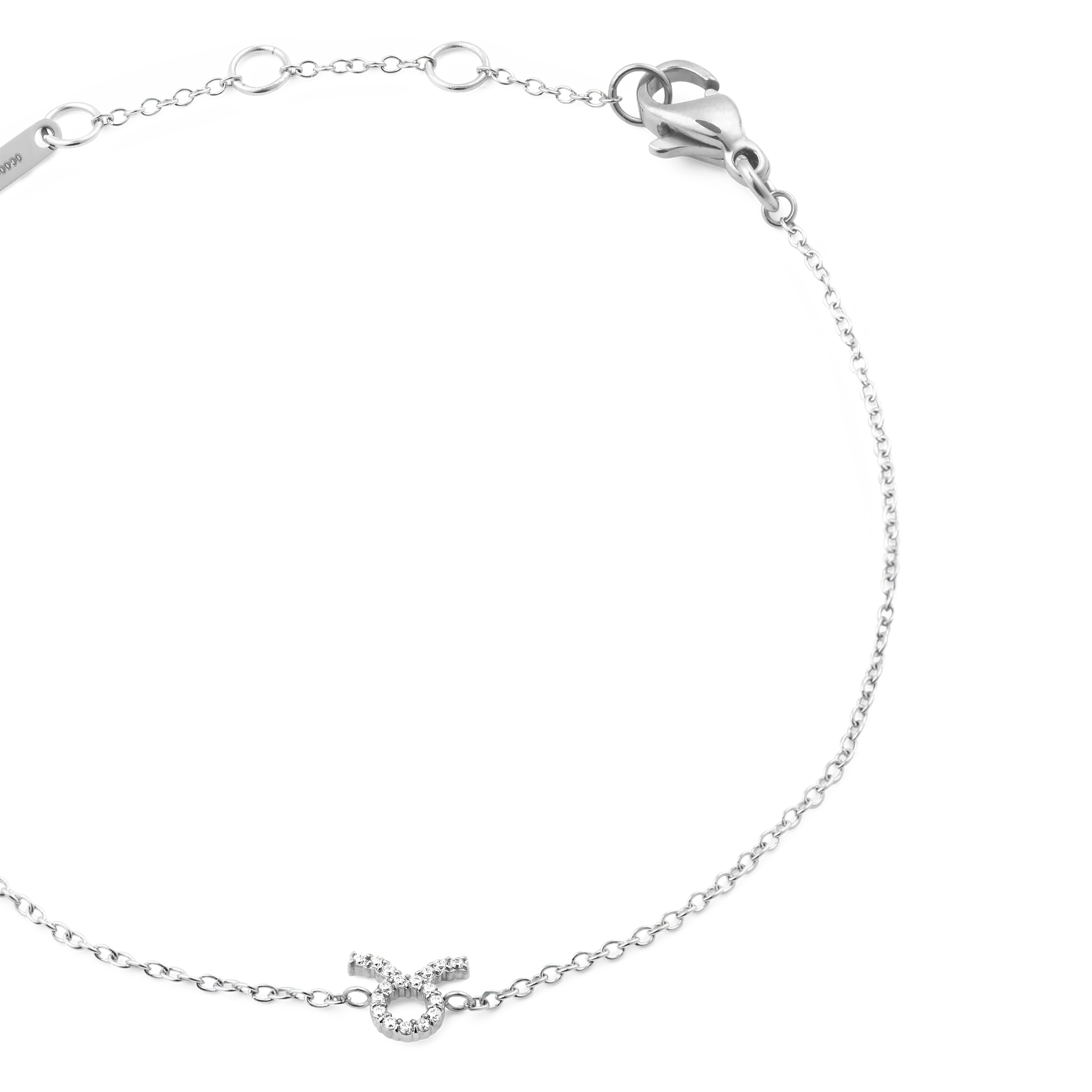 Crystal Zodiac Chain Bracelet Silver - Image 37