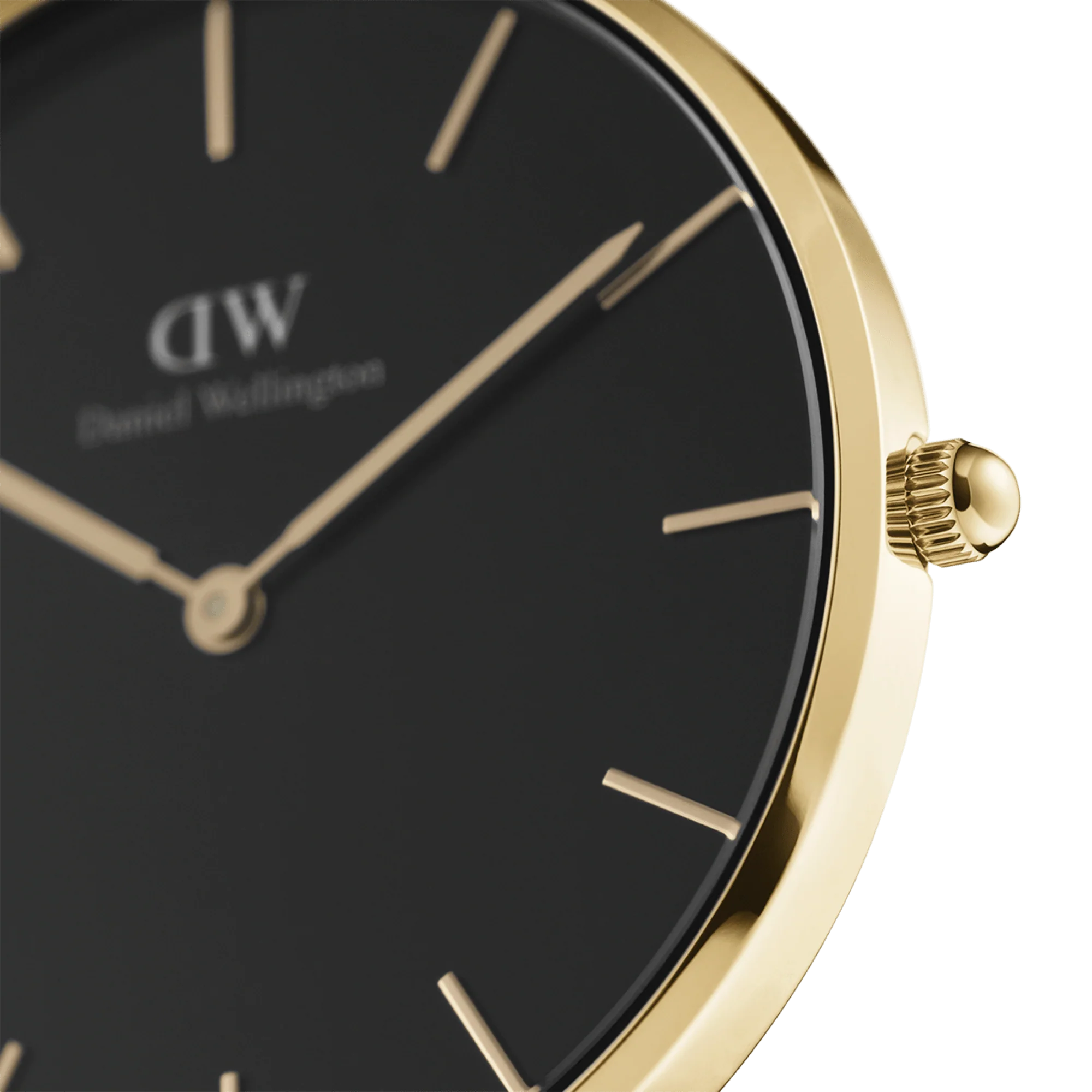 Petite Evergold Black - Image 3